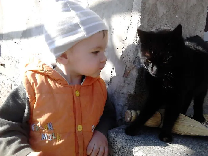 179 Heartwarming Photos Of Kids Playing With Their Cats