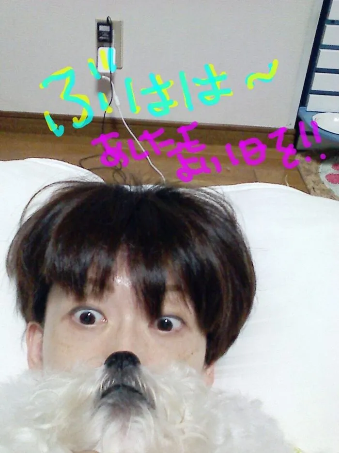 Could You Do Better Than These Dog Smile Selfies?