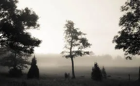 Åland Islands