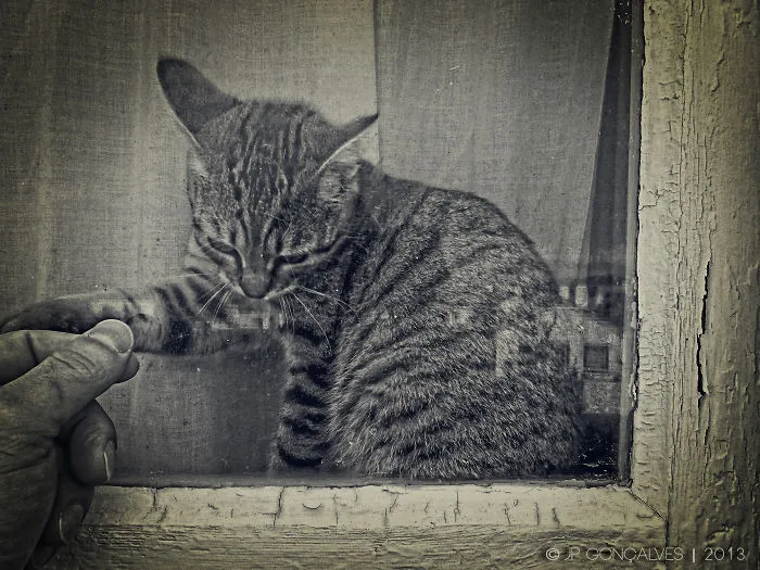 ...see You Later