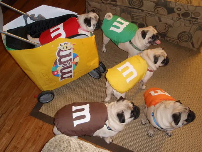M&amp;m's Pugs