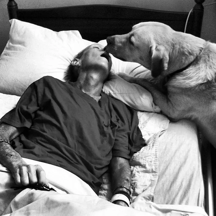Heartbreaking Yet Beautiful Photos Of Pets With Their Owners