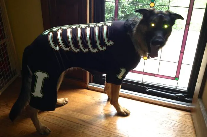 Hound Of Hell