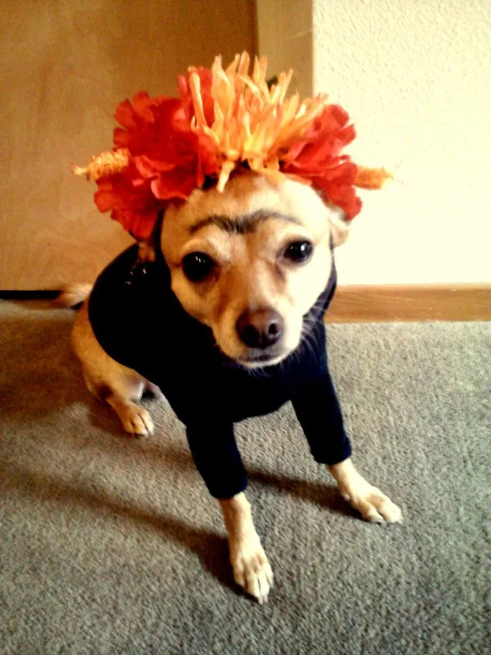 Little Frida Kahlo