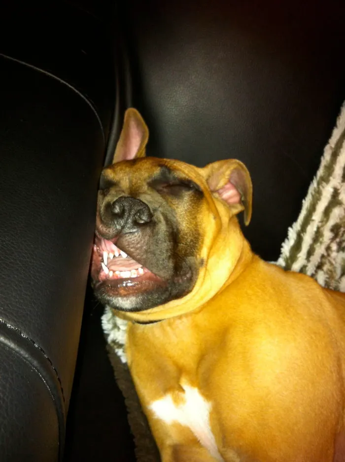 He's So Beautiful When He Sleeps.