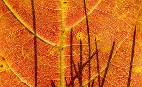 These 203 Beautiful Autumn Photos Will Inspire You To Grab Your Camera