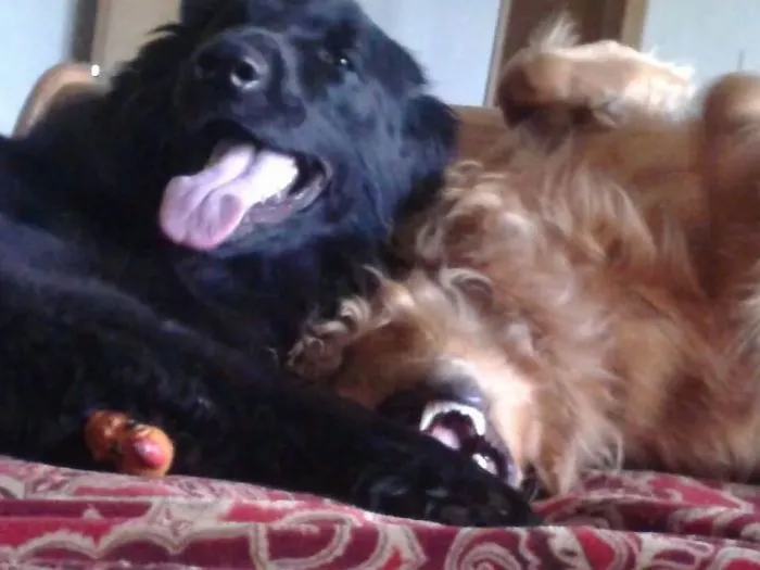 Best Friends