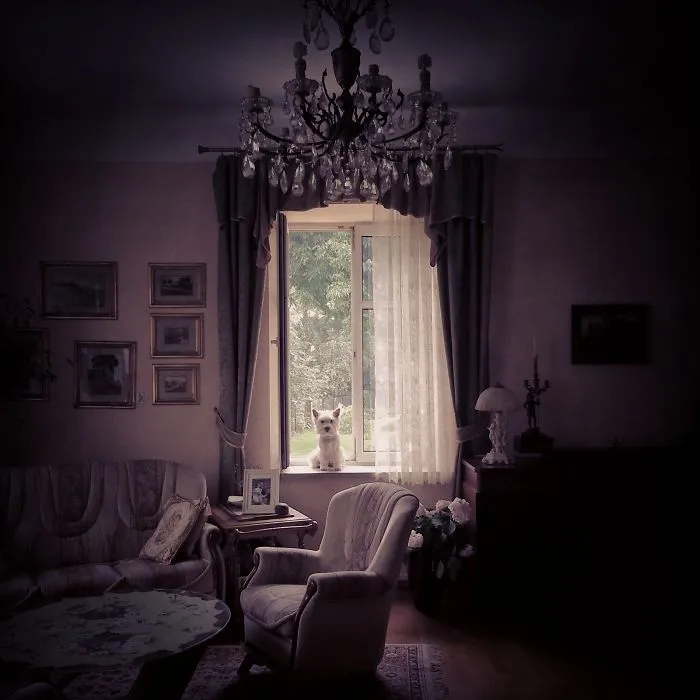 Lori At Home