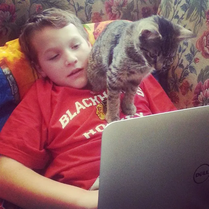 179 Heartwarming Photos Of Kids Playing With Their Cats