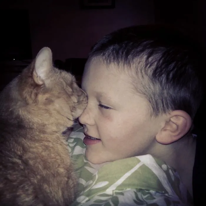 179 Heartwarming Photos Of Kids Playing With Their Cats