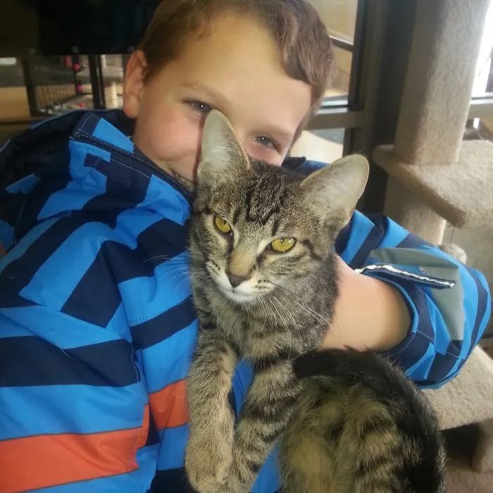 179 Heartwarming Photos Of Kids Playing With Their Cats
