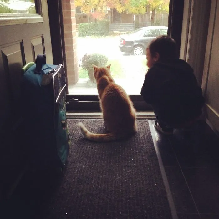 179 Heartwarming Photos Of Kids Playing With Their Cats