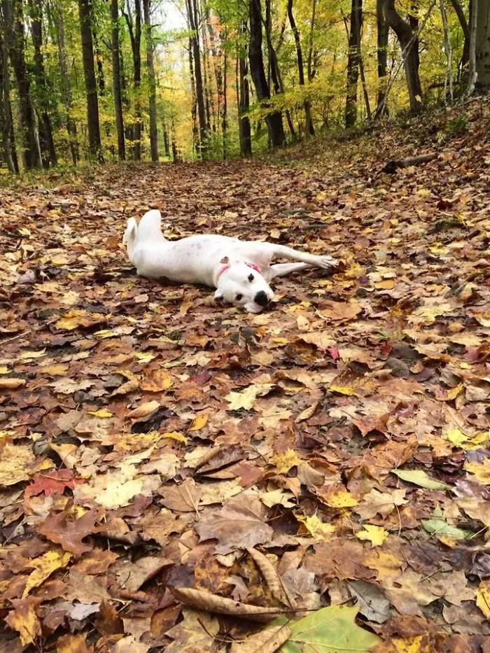 Taking A Break