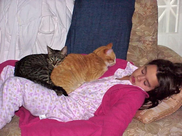 179 Heartwarming Photos Of Kids Playing With Their Cats