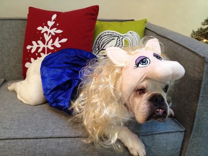 Miss Spanky Piggy