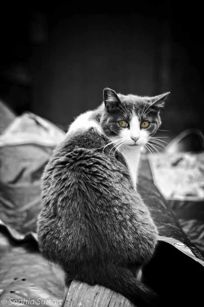 My Amateur Photography