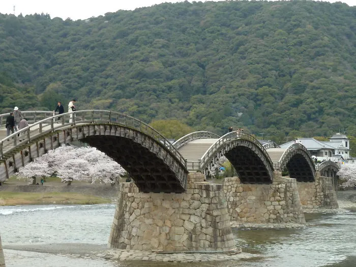 Wooden mystical bridge with multiple arches over river, surrounded by cherry blossoms and green forested hills.