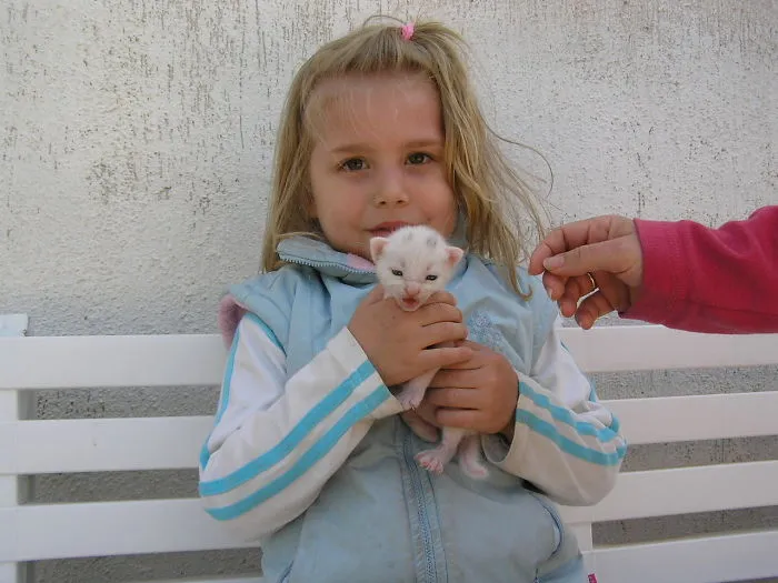 179 Heartwarming Photos Of Kids Playing With Their Cats
