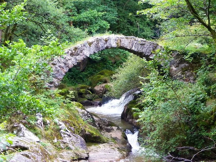 Stone mystical bridge arching over a flowing stream surrounded by lush green forest foliage.