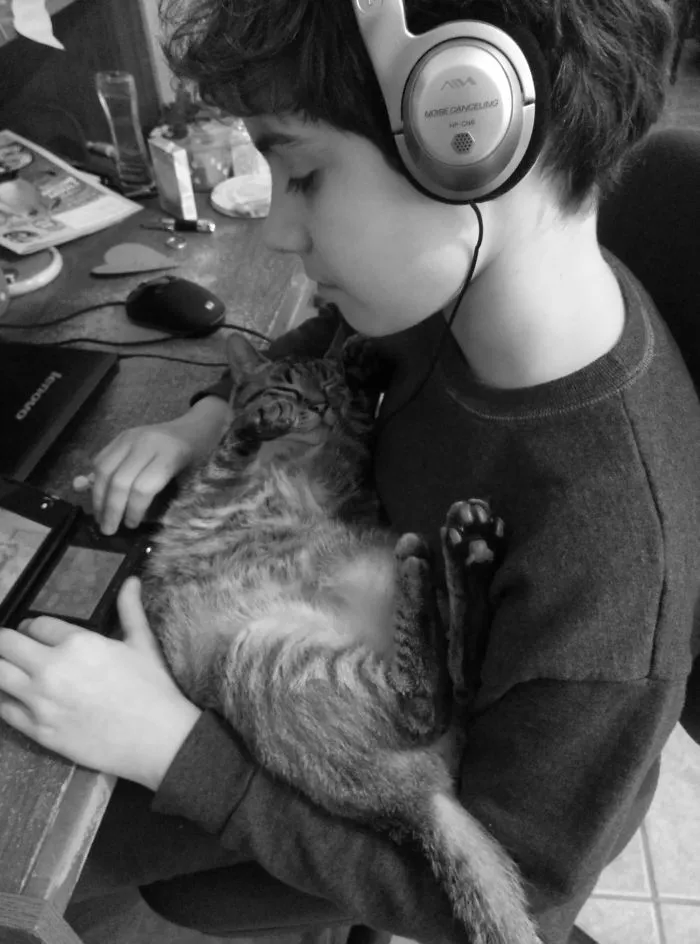 179 Heartwarming Photos Of Kids Playing With Their Cats
