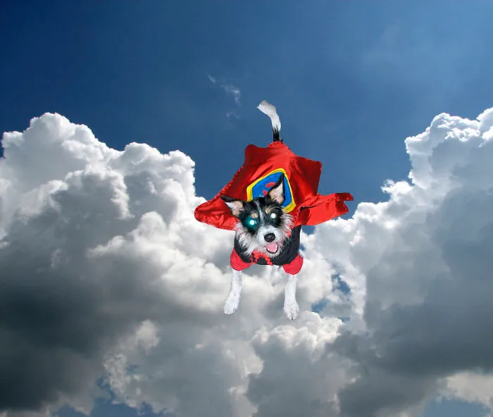 Super Chopper