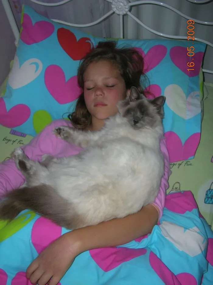 179 Heartwarming Photos Of Kids Playing With Their Cats