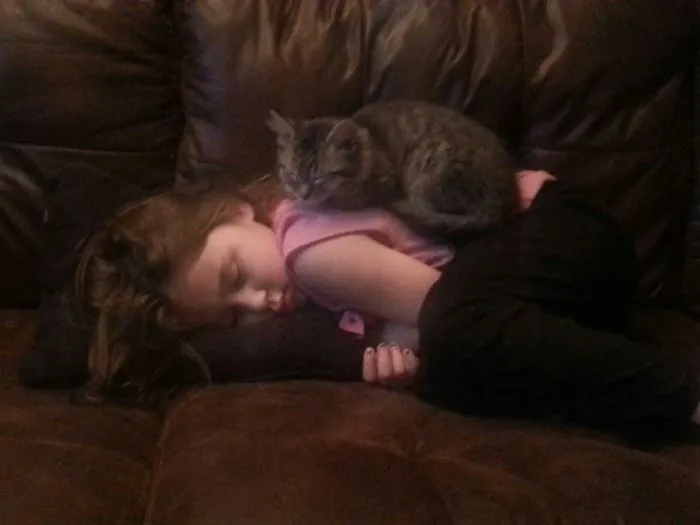 179 Heartwarming Photos Of Kids Playing With Their Cats