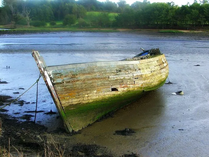 Stranded
