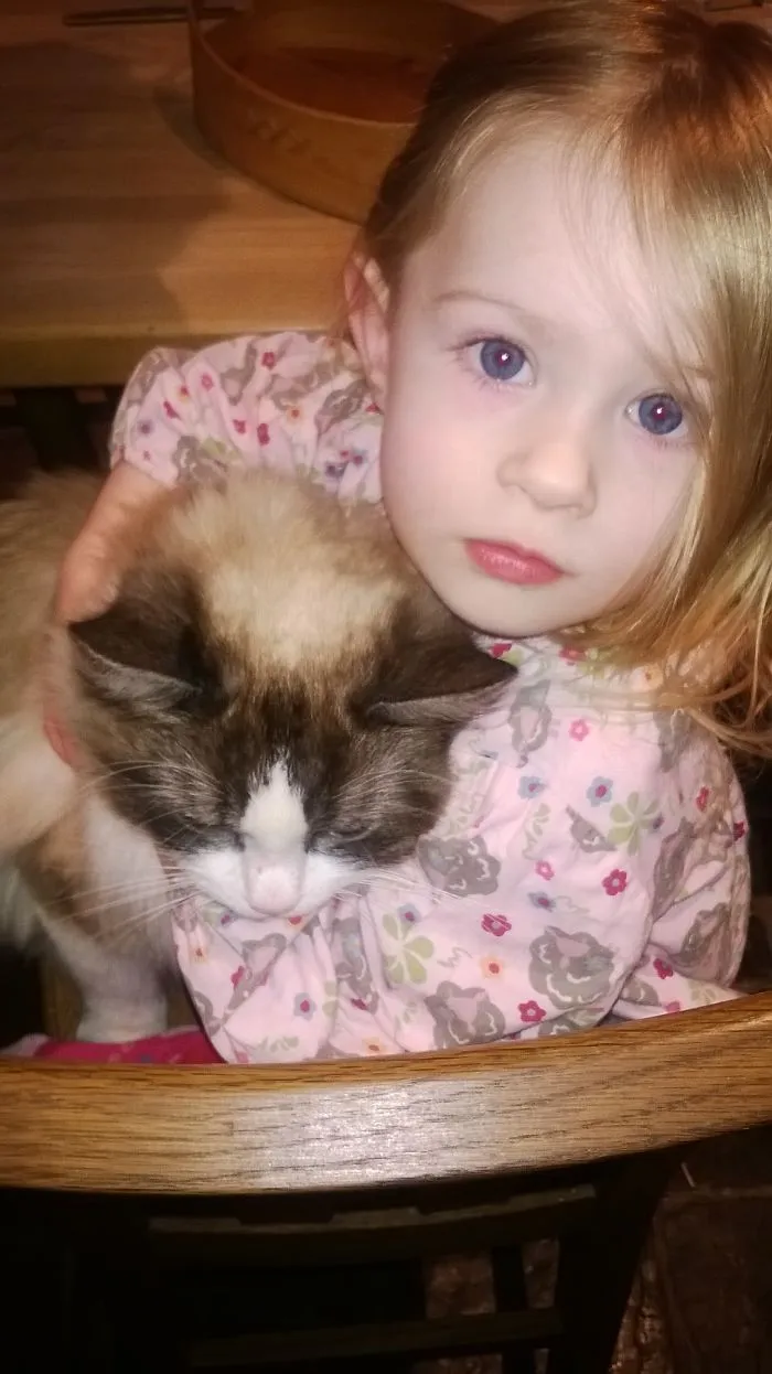 179 Heartwarming Photos Of Kids Playing With Their Cats