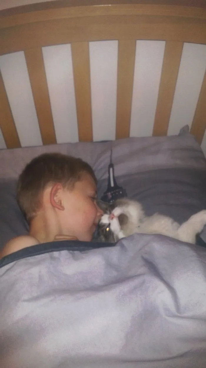 179 Heartwarming Photos Of Kids Playing With Their Cats
