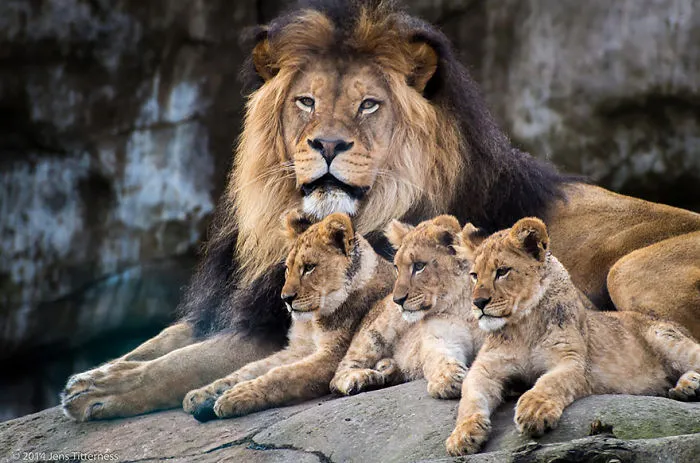 Family Portrait