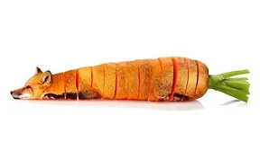 Animal Food: My Series Of Animals Crossed With Fruits And Vegetables