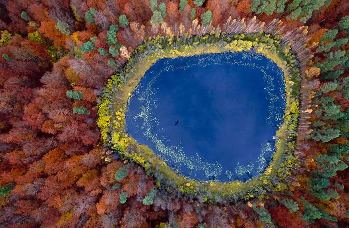 These 203 Beautiful Autumn Photos Will Inspire You To Grab Your Camera