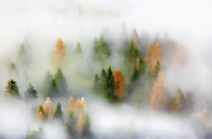These 203 Beautiful Autumn Photos Will Inspire You To Grab Your Camera