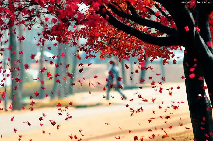 These 203 Beautiful Autumn Photos Will Inspire You To Grab Your Camera