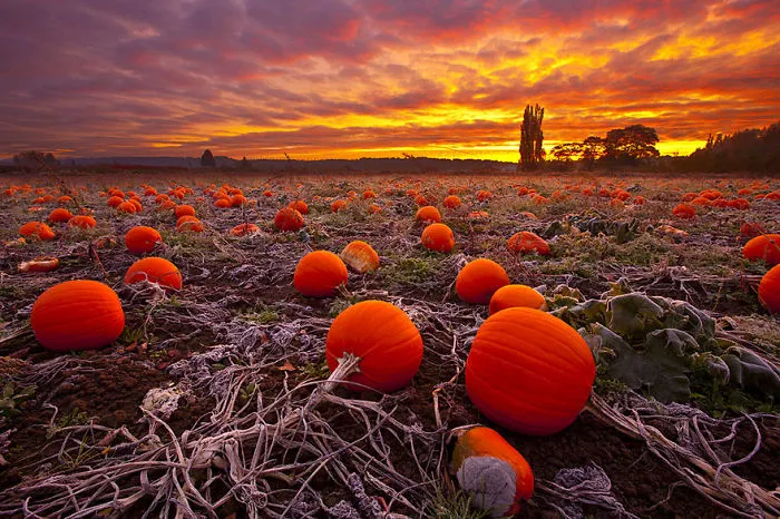 These 203 Beautiful Autumn Photos Will Inspire You To Grab Your Camera