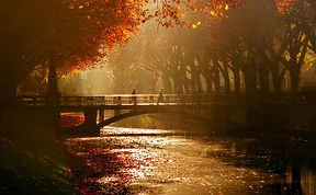 These 203 Beautiful Autumn Photos Will Inspire You To Grab Your Camera
