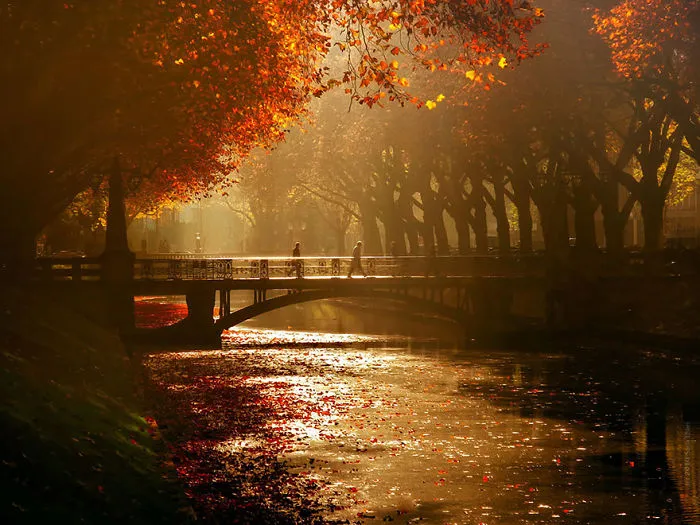 These 203 Beautiful Autumn Photos Will Inspire You To Grab Your Camera