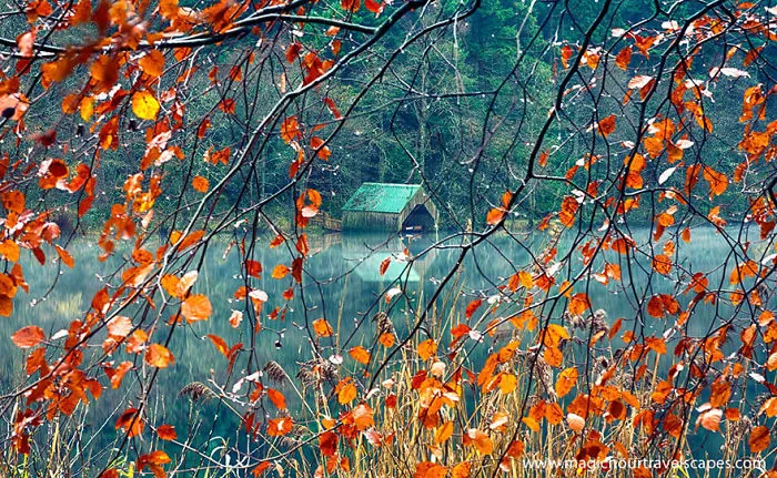 These 203 Beautiful Autumn Photos Will Inspire You To Grab Your Camera