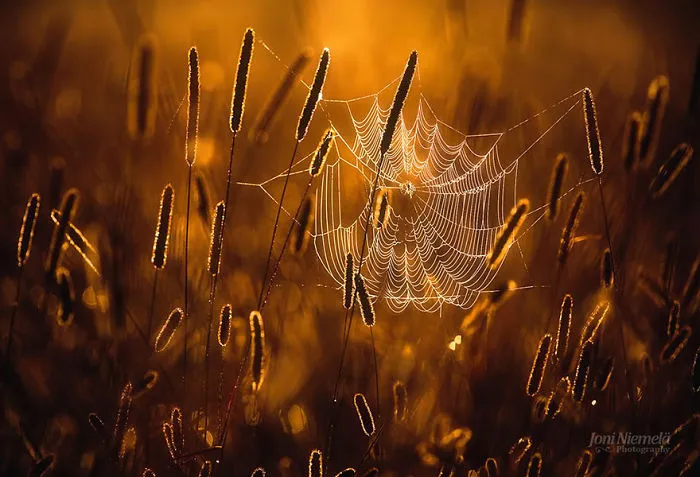 These 203 Beautiful Autumn Photos Will Inspire You To Grab Your Camera