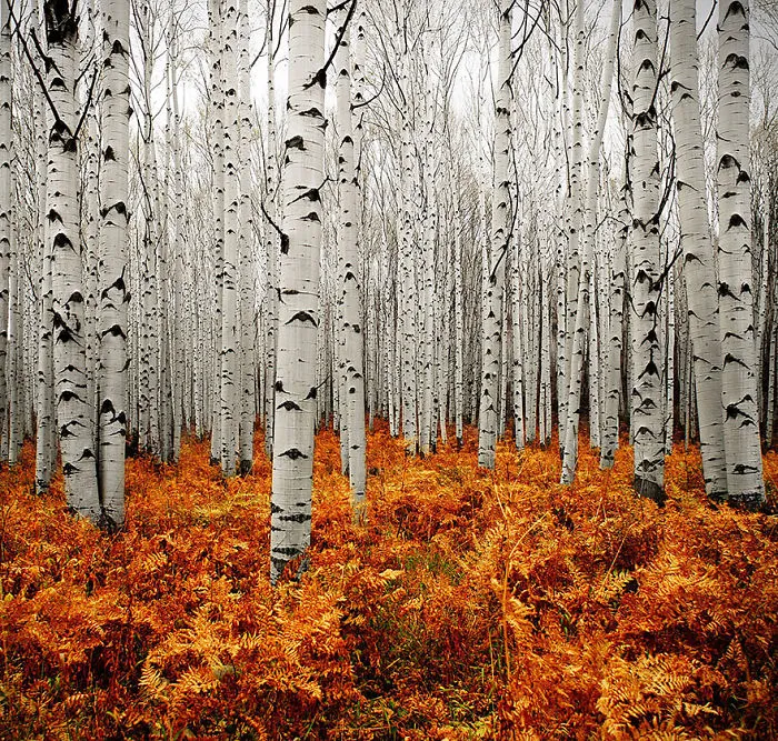 These 203 Beautiful Autumn Photos Will Inspire You To Grab Your Camera