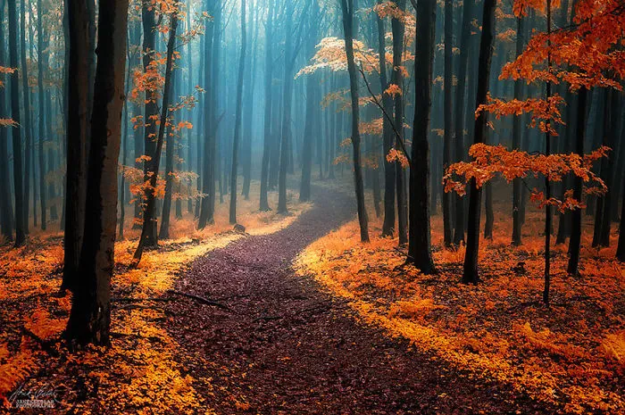 These 203 Beautiful Autumn Photos Will Inspire You To Grab Your Camera