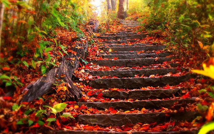 These 203 Beautiful Autumn Photos Will Inspire You To Grab Your Camera
