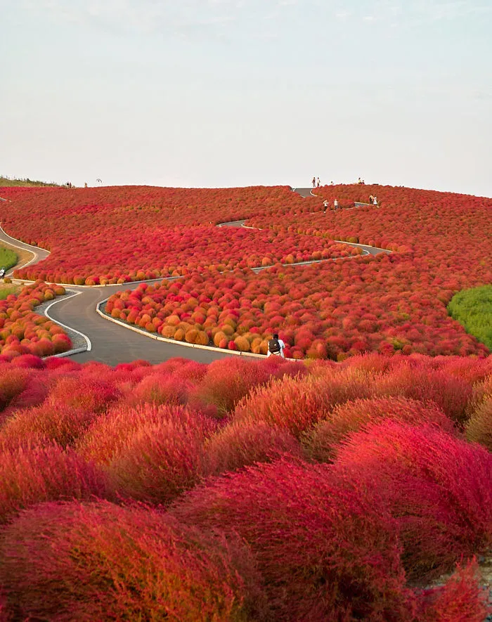 Autumn