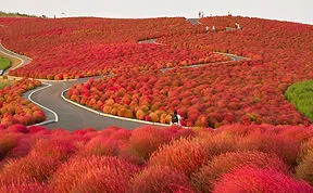 These 203 Beautiful Autumn Photos Will Inspire You To Grab Your Camera