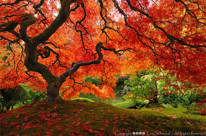 These 203 Beautiful Autumn Photos Will Inspire You To Grab Your Camera