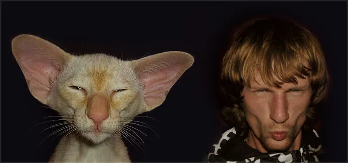 Oriental Cat &amp; Me =d