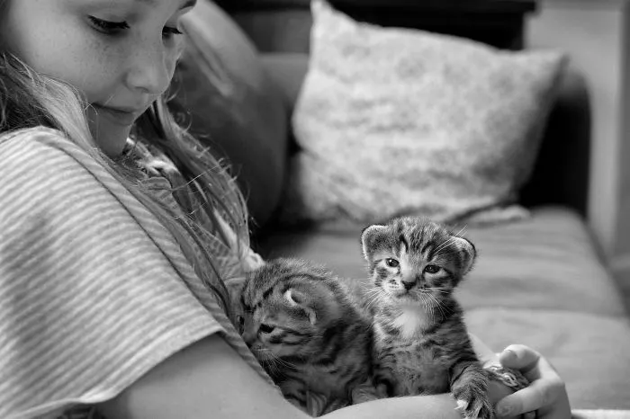 179 Heartwarming Photos Of Kids Playing With Their Cats