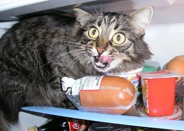 Thief Caught In Action