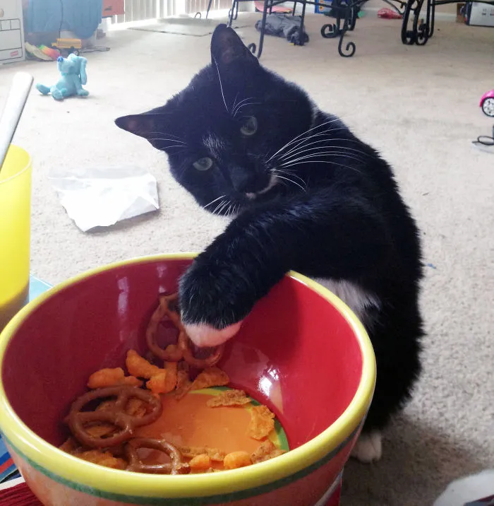 Pretzel Thief